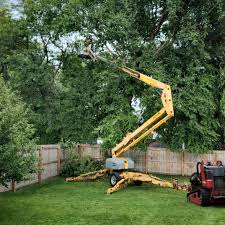 Lawn Renovation and Restoration in Lake Jackson, TX